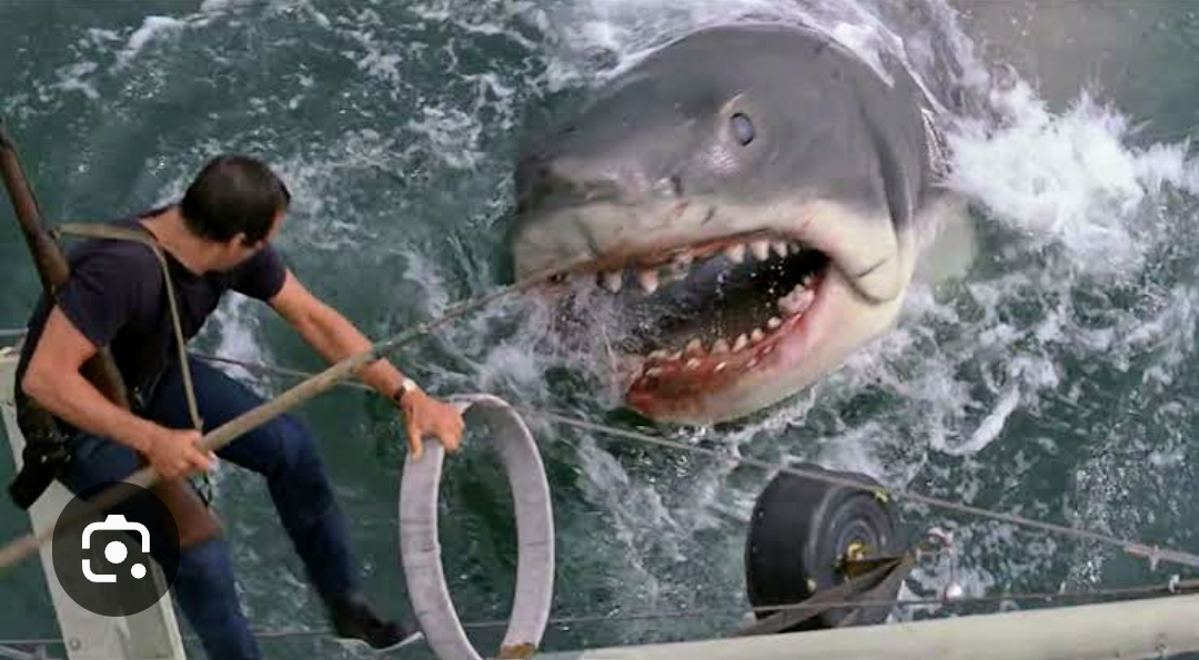 続編が面白い映画、つまらない映画