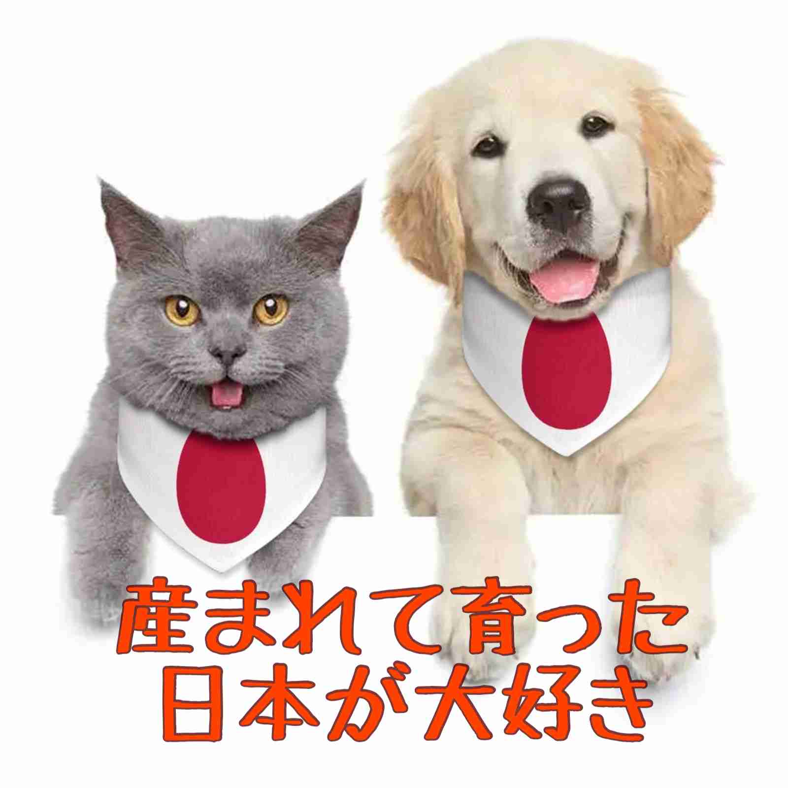 心が穏やかな人が集う雑談