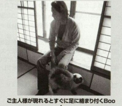 「BUCK―TICK」櫻井敦司さん偲ぶ会　献花券の転売横行、価格10倍超も…ファン激怒「許せない」