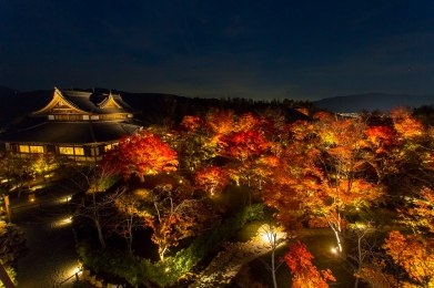 ちょっと一言 〜画像を添えて〜part5