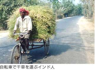 自転車🚲通勤してる方〜