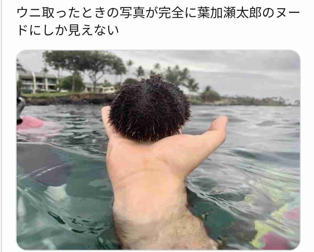 「算数の問題みたいになった」　ビュッフェが下手すぎる人のプレートに反響「見たことある」「掛け算の導入」
