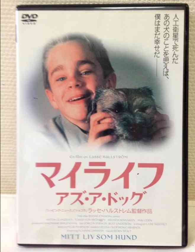 毎日BGMのように流せる映画