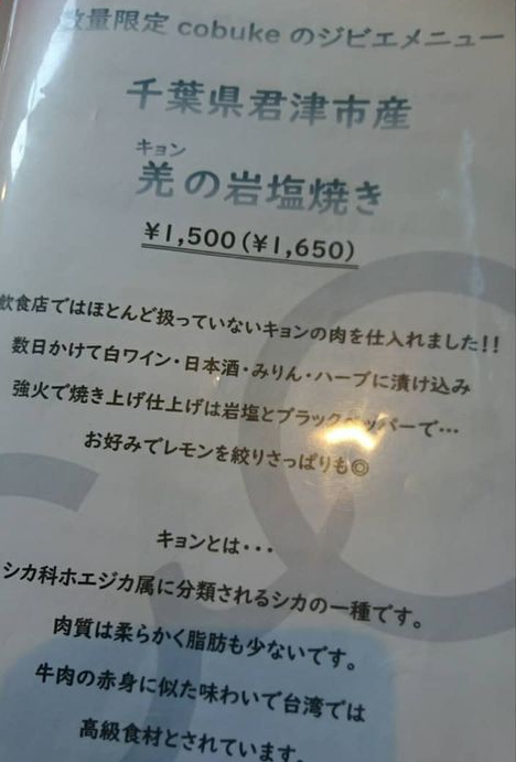 〈千葉・キョン大発生〉「ギャー!」と夜中に不気味な鳴き声で吠え続け、住民は「私らが出てけと言われてるみたい」…捕獲すると「ヒィ〜、ヒィ〜!」と悲痛な声でハンターの心をえぐる謎多き生物
