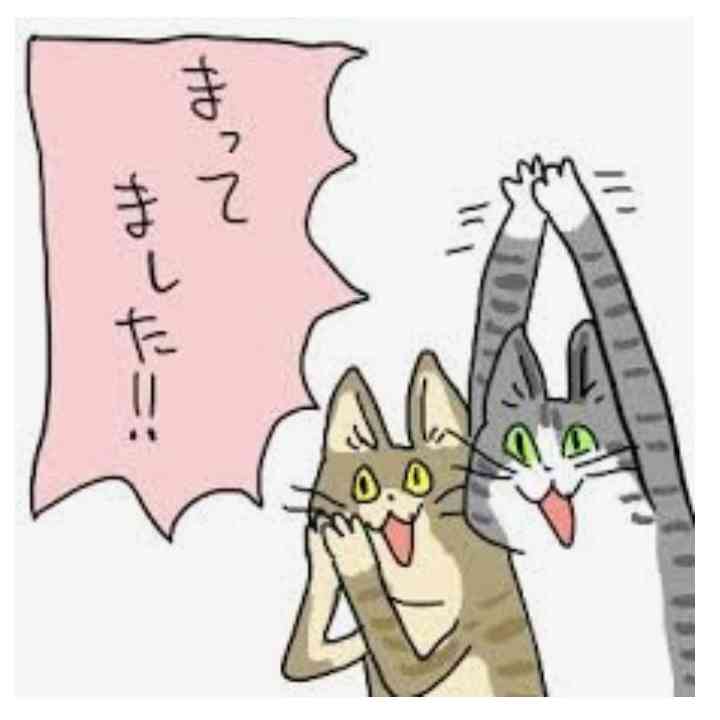 東京都心で27.5℃観測 11月の観測史上最高気温を100年ぶりに更新 気象庁