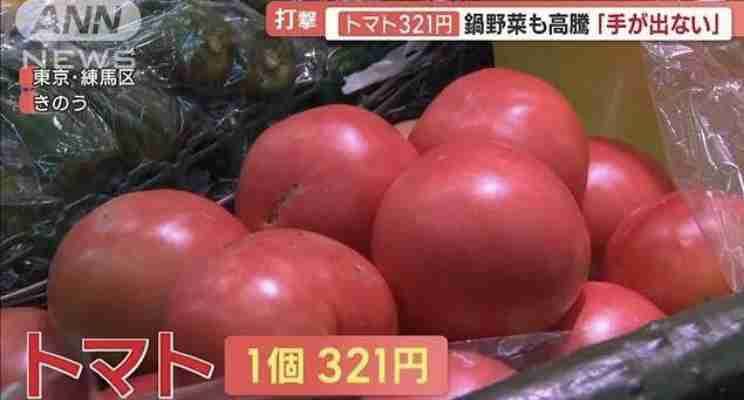 【11月】貧乏な人総合トピ