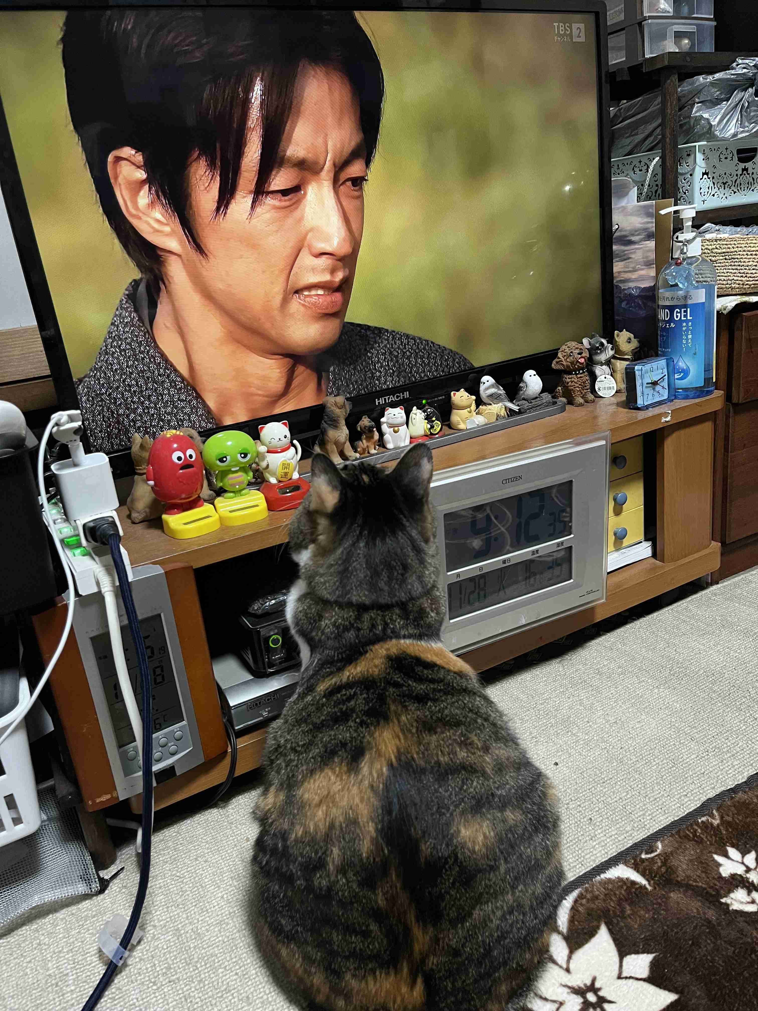 がるちゃん猫カフェ93号店開店しました♫(初めての方も大歓迎♫)