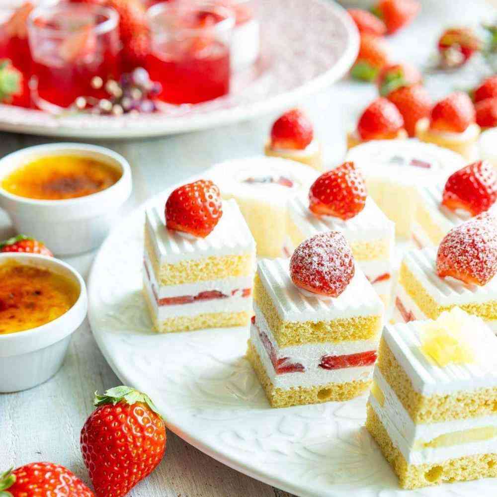 がるちゃん猫カフェ93号店開店しました♫(初めての方も大歓迎♫)