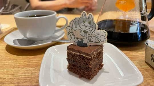 がるちゃん猫カフェ93号店開店しました♫(初めての方も大歓迎♫)