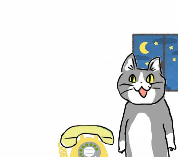 がるちゃん猫カフェ93号店開店しました♫(初めての方も大歓迎♫)