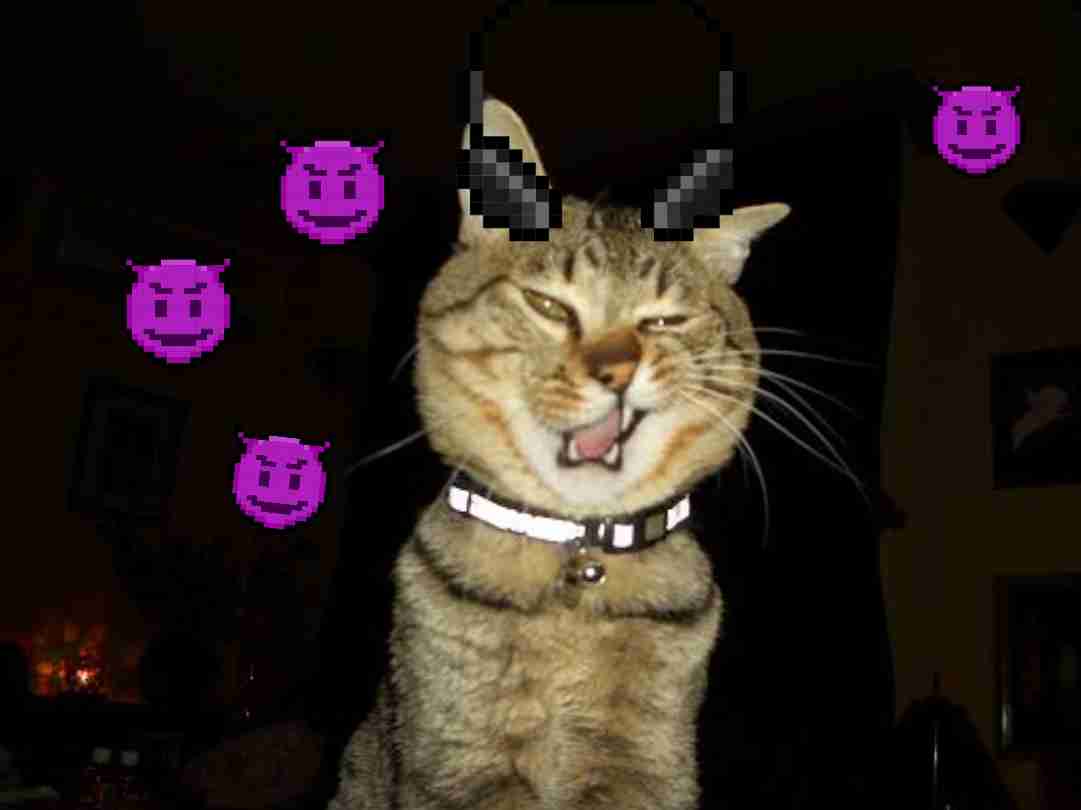 がるちゃん猫カフェ93号店開店しました♫(初めての方も大歓迎♫)