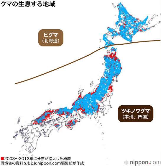 地上最大級の肉食動物ホッキョクグマと共存 カナダ チャーチル住民が絶対やらないこと