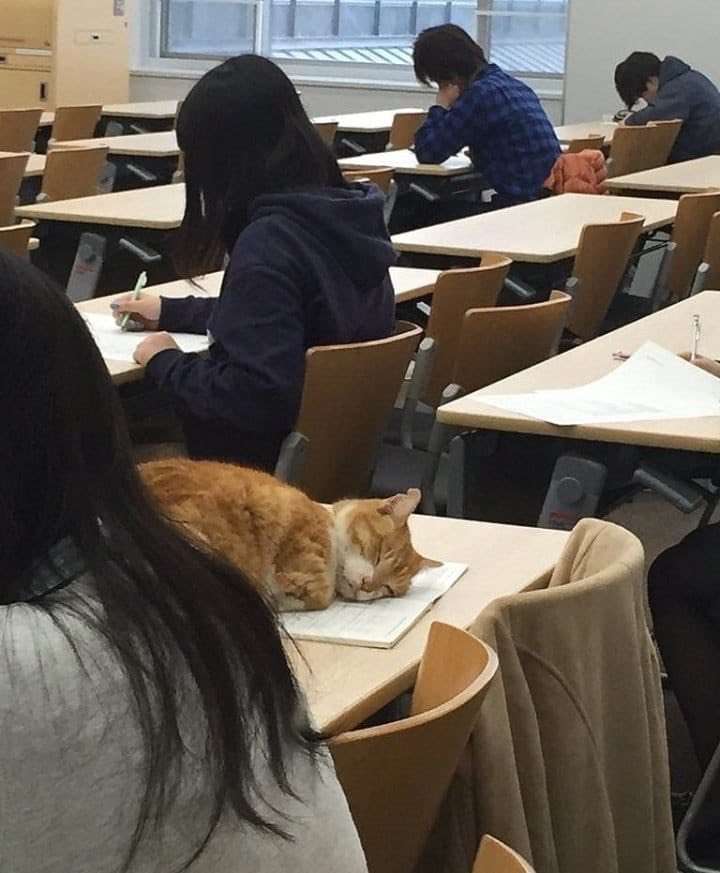 いろんな写り込みが見たい
