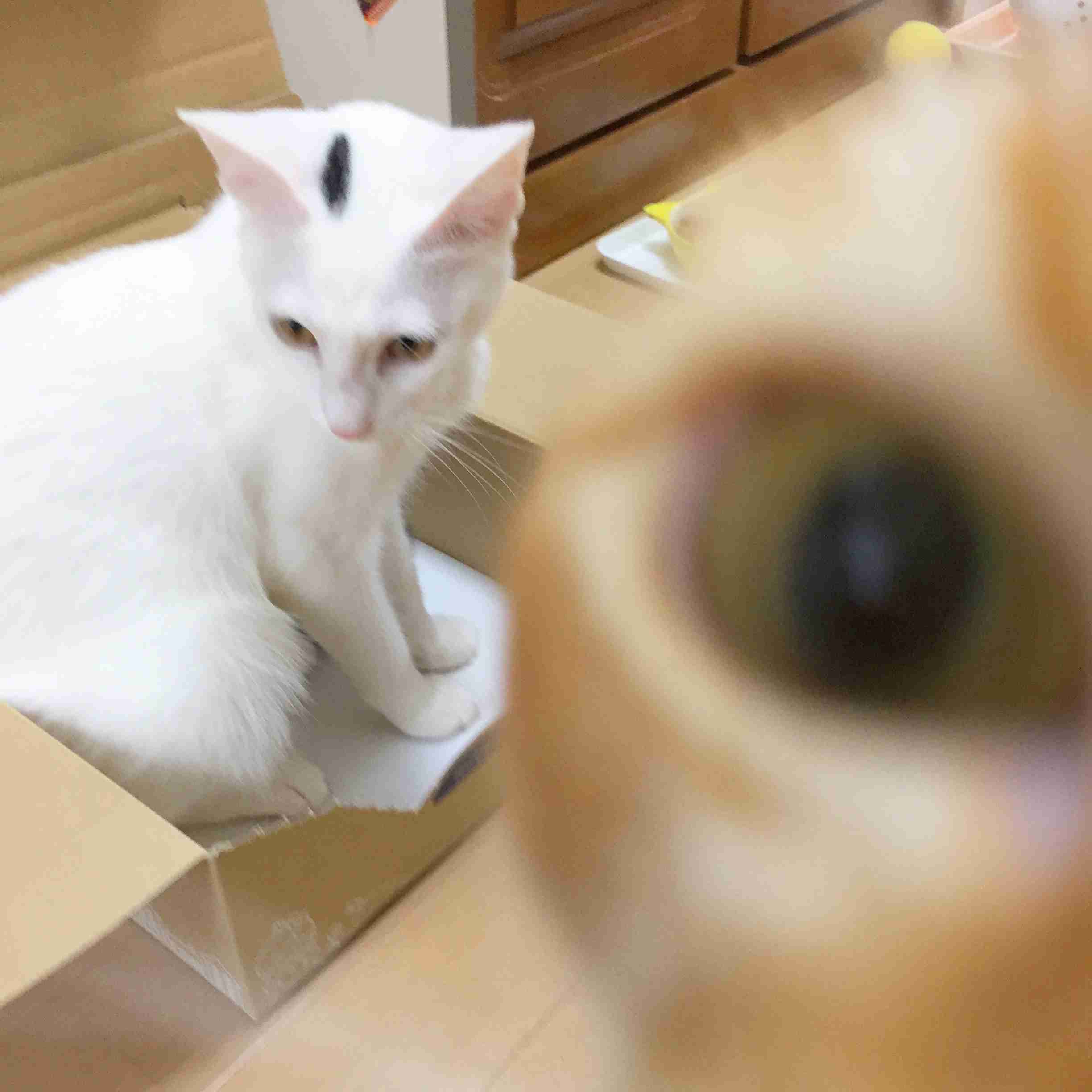 いろんな写り込みが見たい