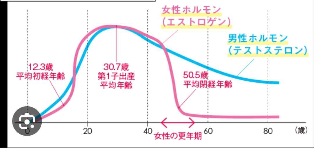 50歳公務員の女「卑怯者」5600回以上メールか SNSで知り合った30代男性へのストーカー容疑で逮捕