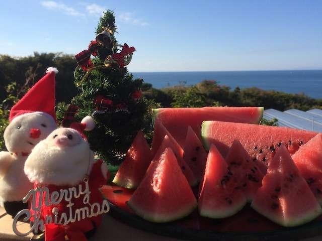 クリスマスっぽい画像が見たい