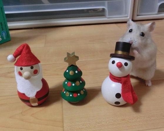 クリスマスっぽい画像が見たい