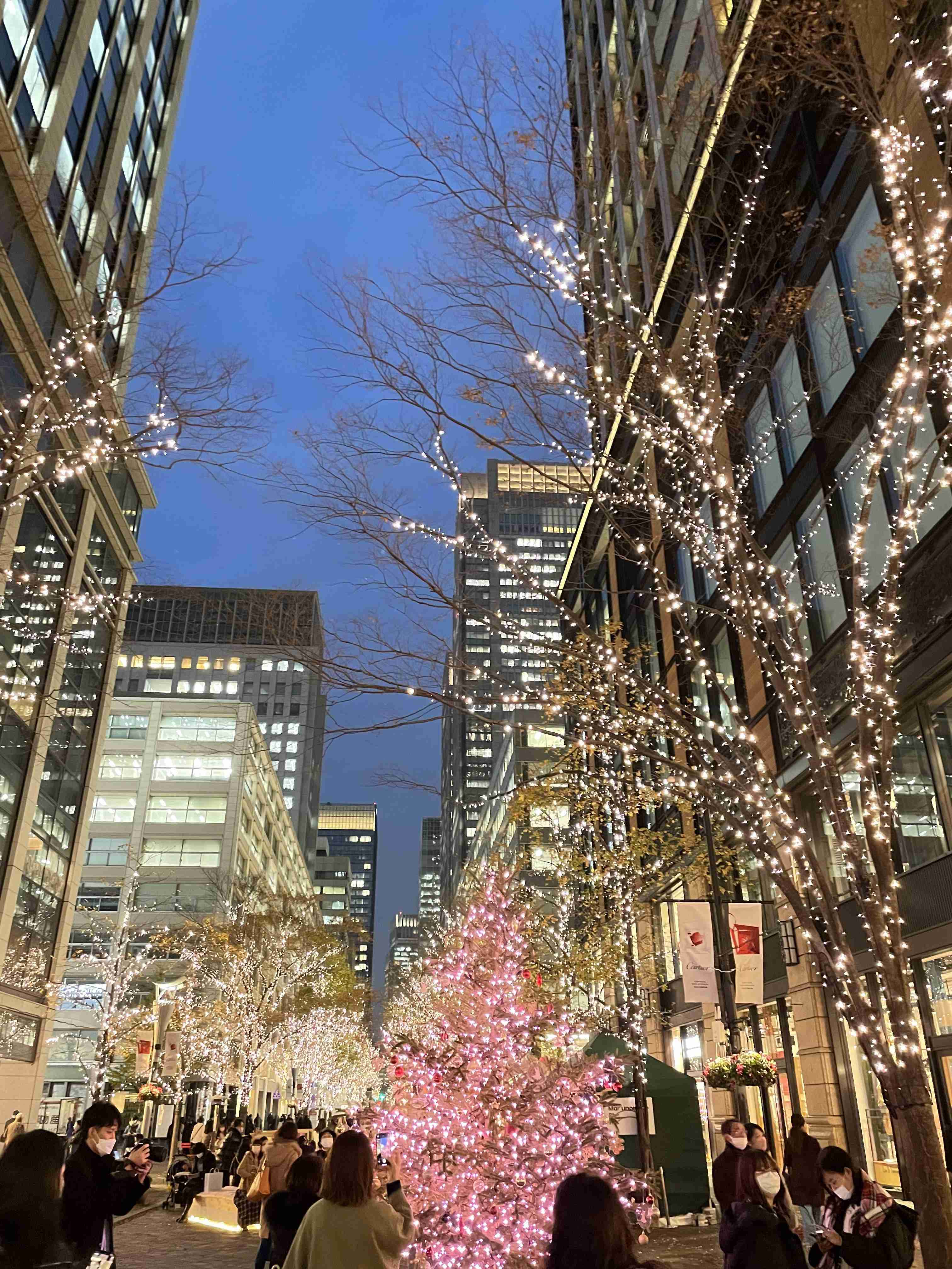 クリスマスっぽい画像が見たい