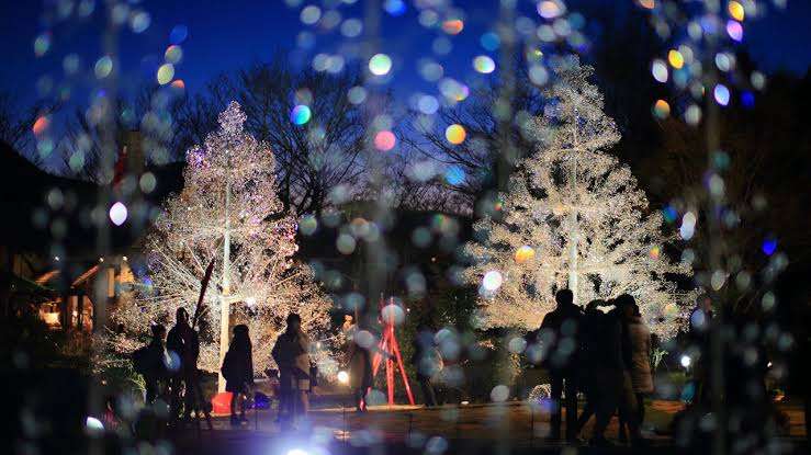 クリスマスっぽい画像が見たい