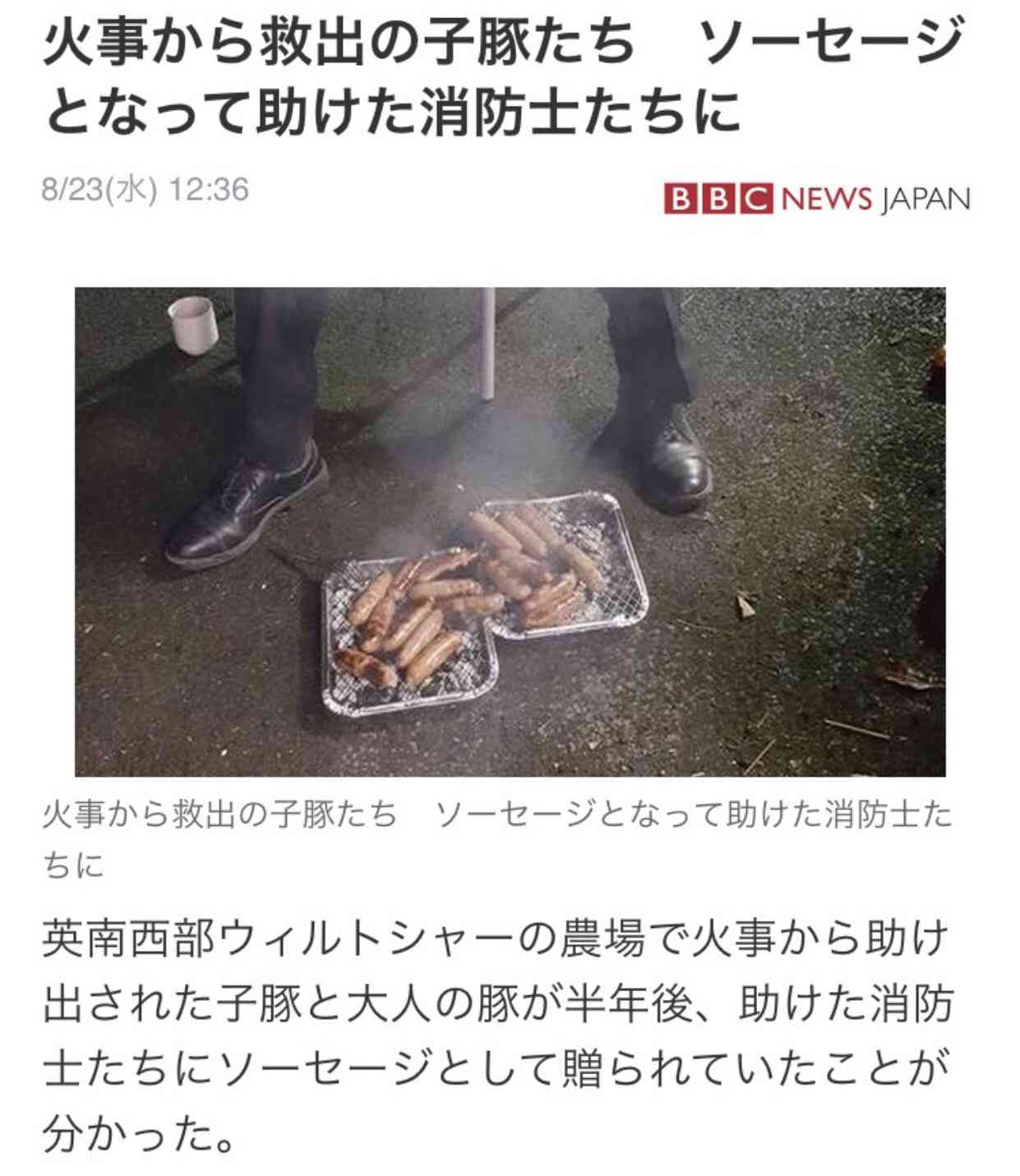 「迷子のペット豚ケヴィン・ベーコンを捜して」　家族の呼び掛けに同名俳優本人も協力