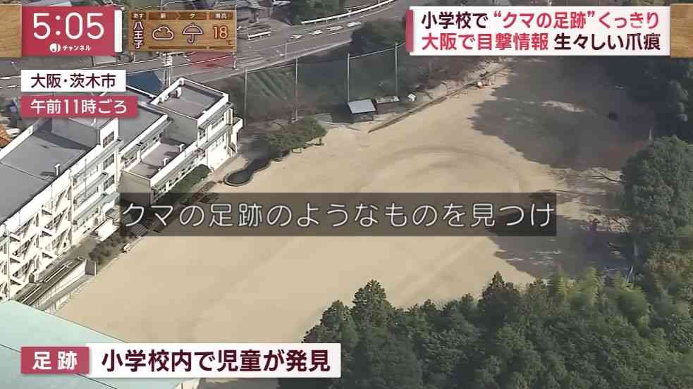 クマと突然遭遇、撃退に成功 「クマ撃退スプレー」に注目集まる 販売数急増で品薄状態に
