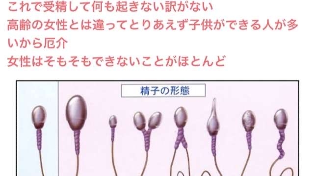 40代になって今更自分の子供が欲しくなってきた
