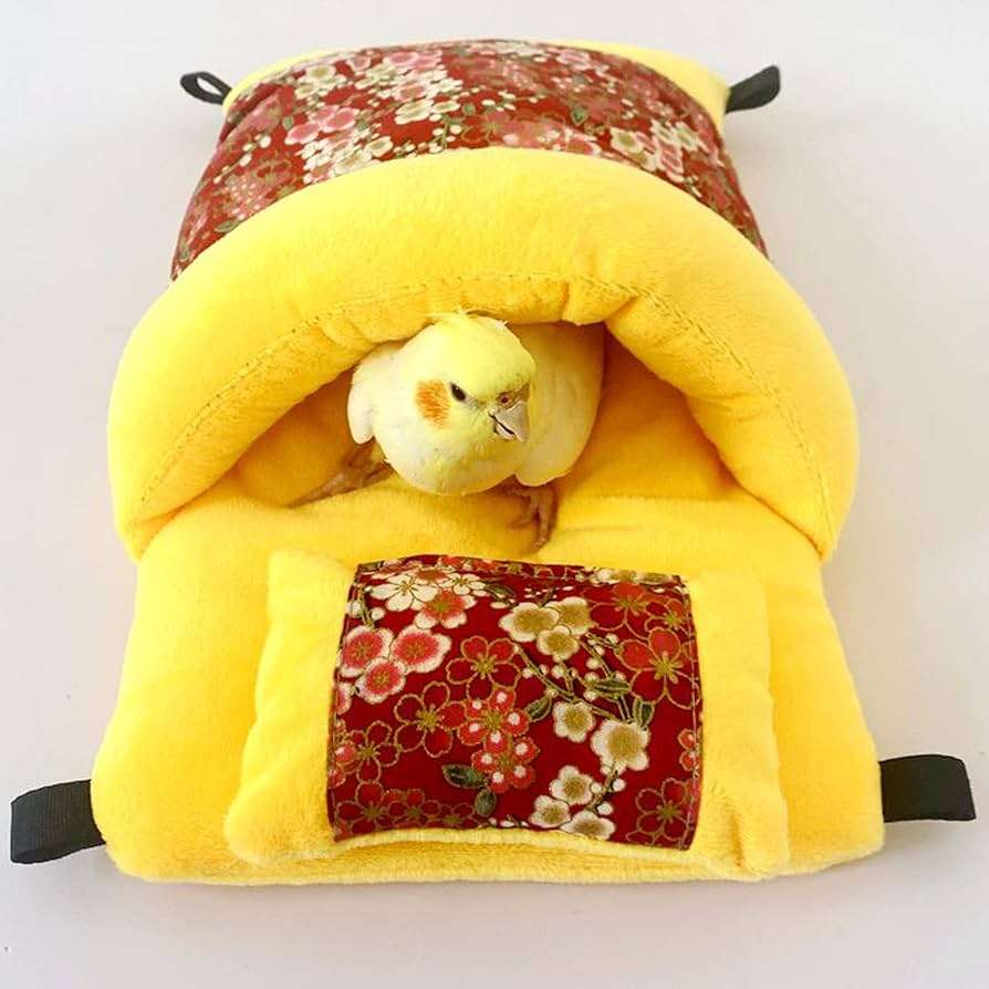 インコ、オウム、文鳥の健康管理について