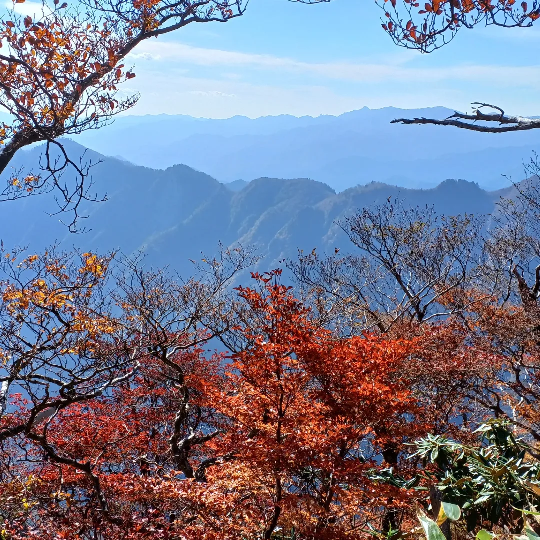 皆さんが撮った紅葉の写真が見たい