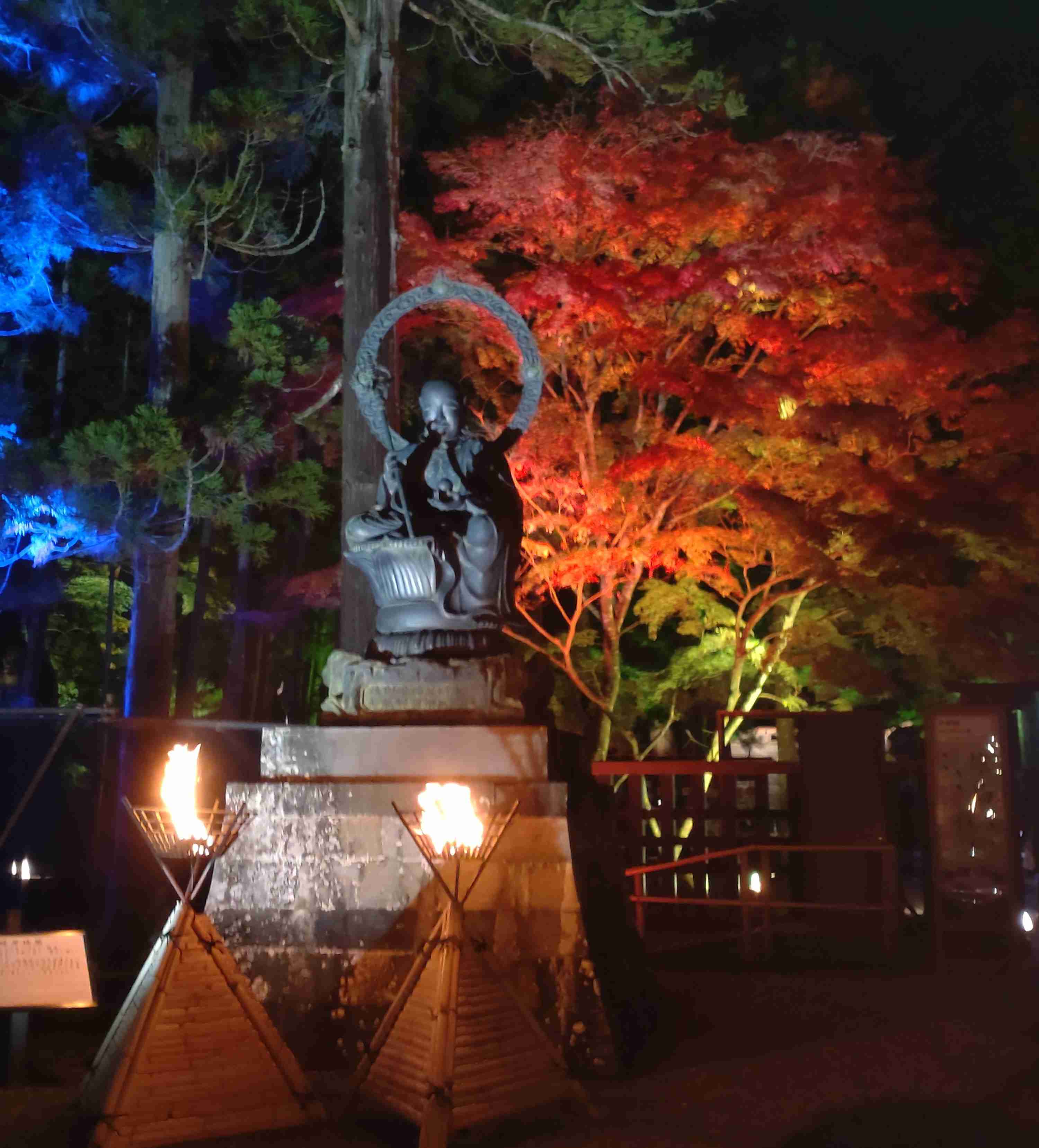 皆さんが撮った紅葉の写真が見たい