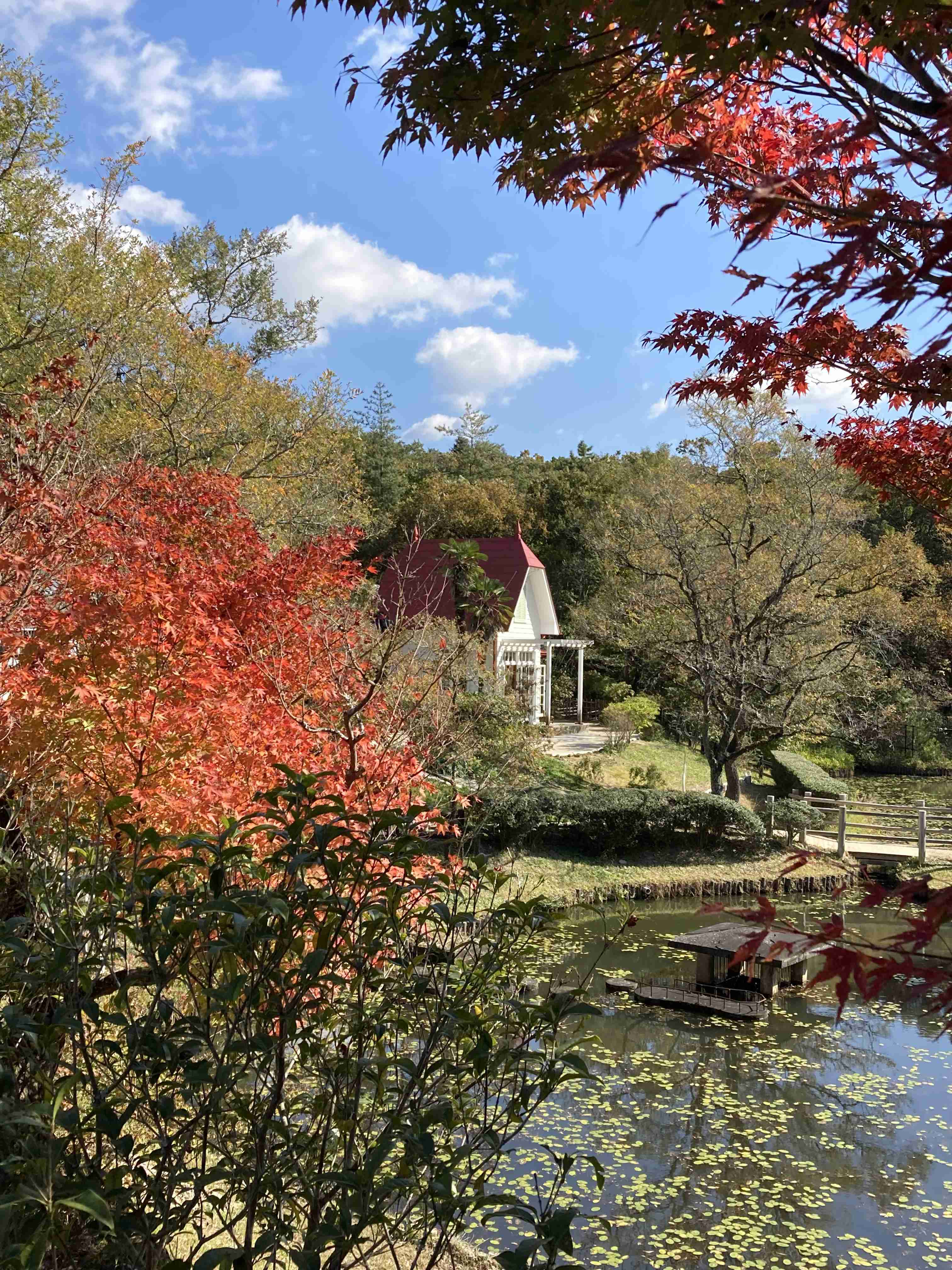 皆さんが撮った紅葉の写真が見たい