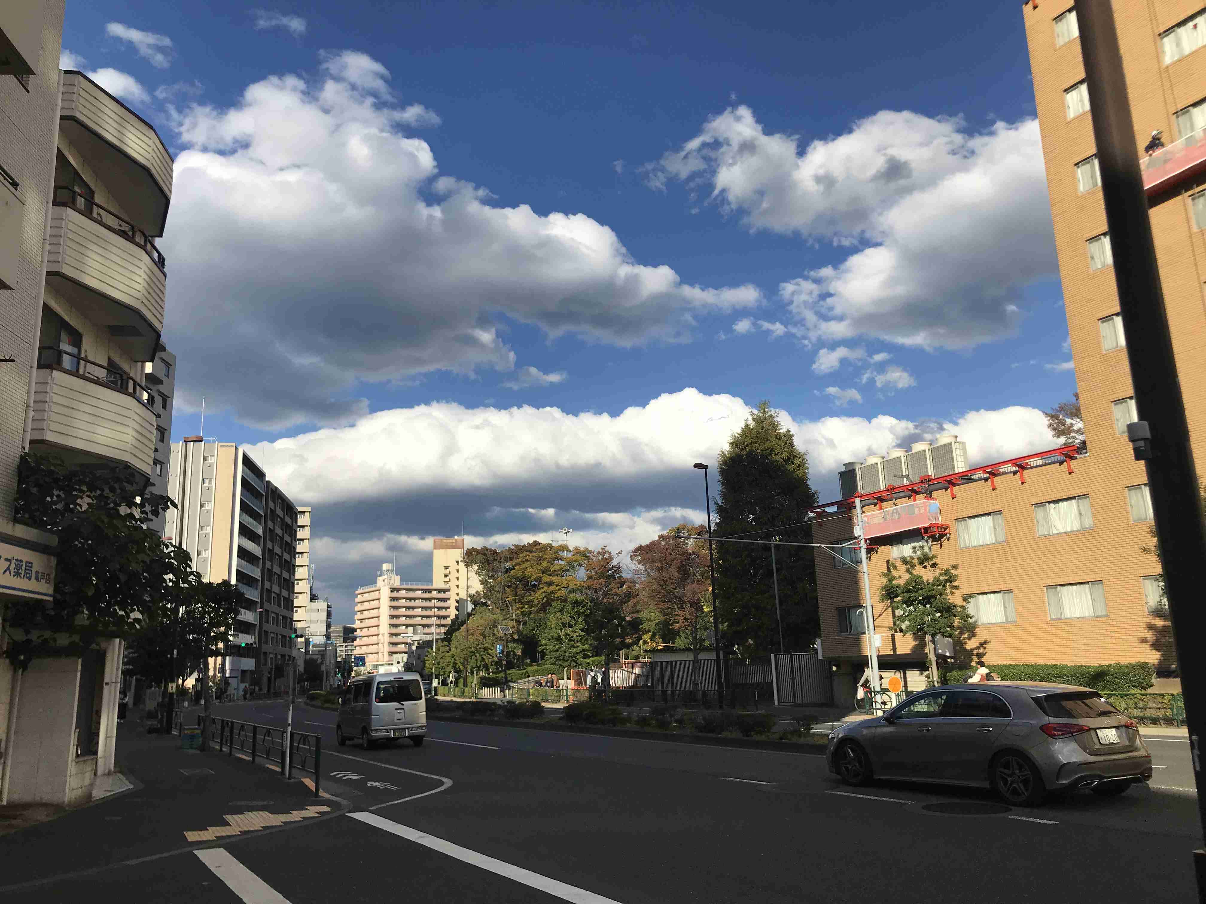 皆さんが撮った紅葉の写真が見たい