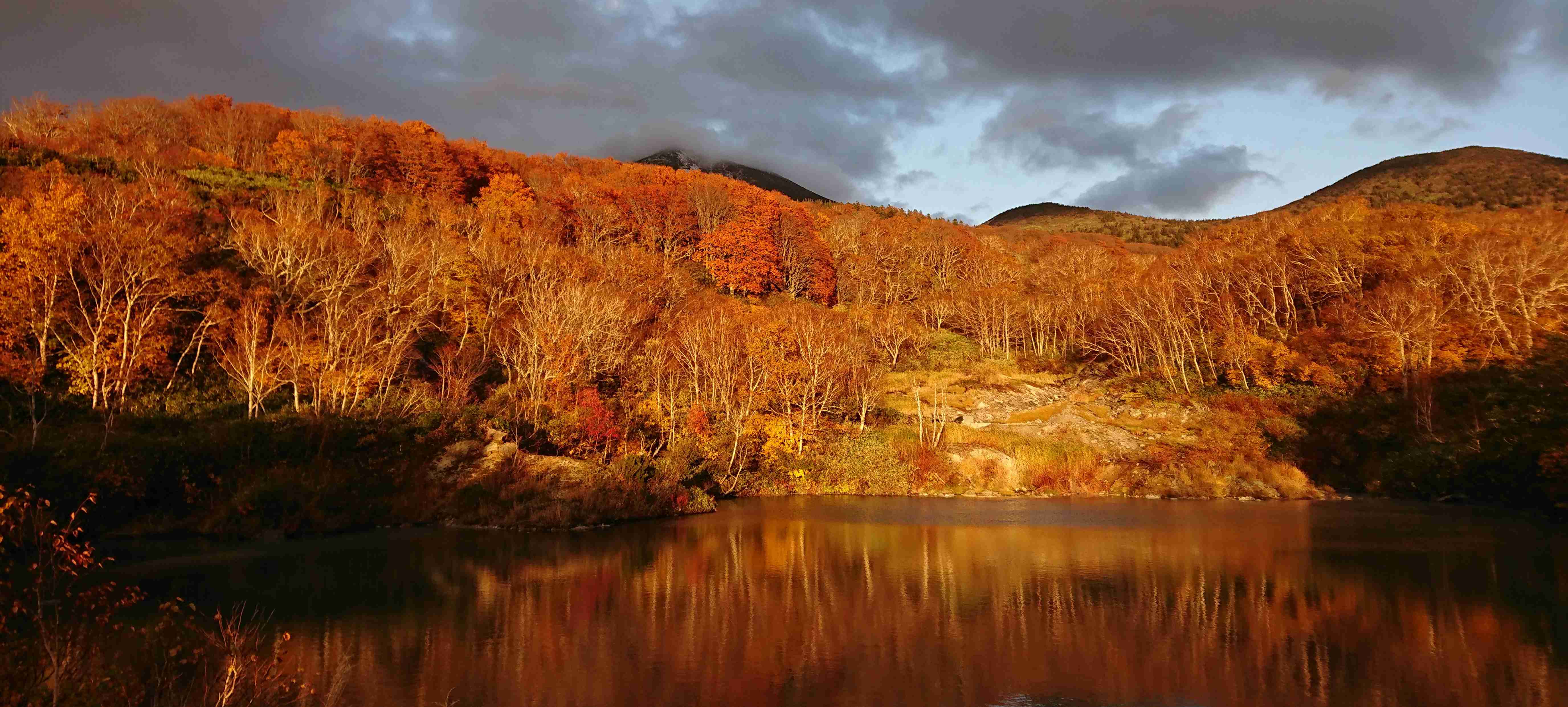 皆さんが撮った紅葉の写真が見たい