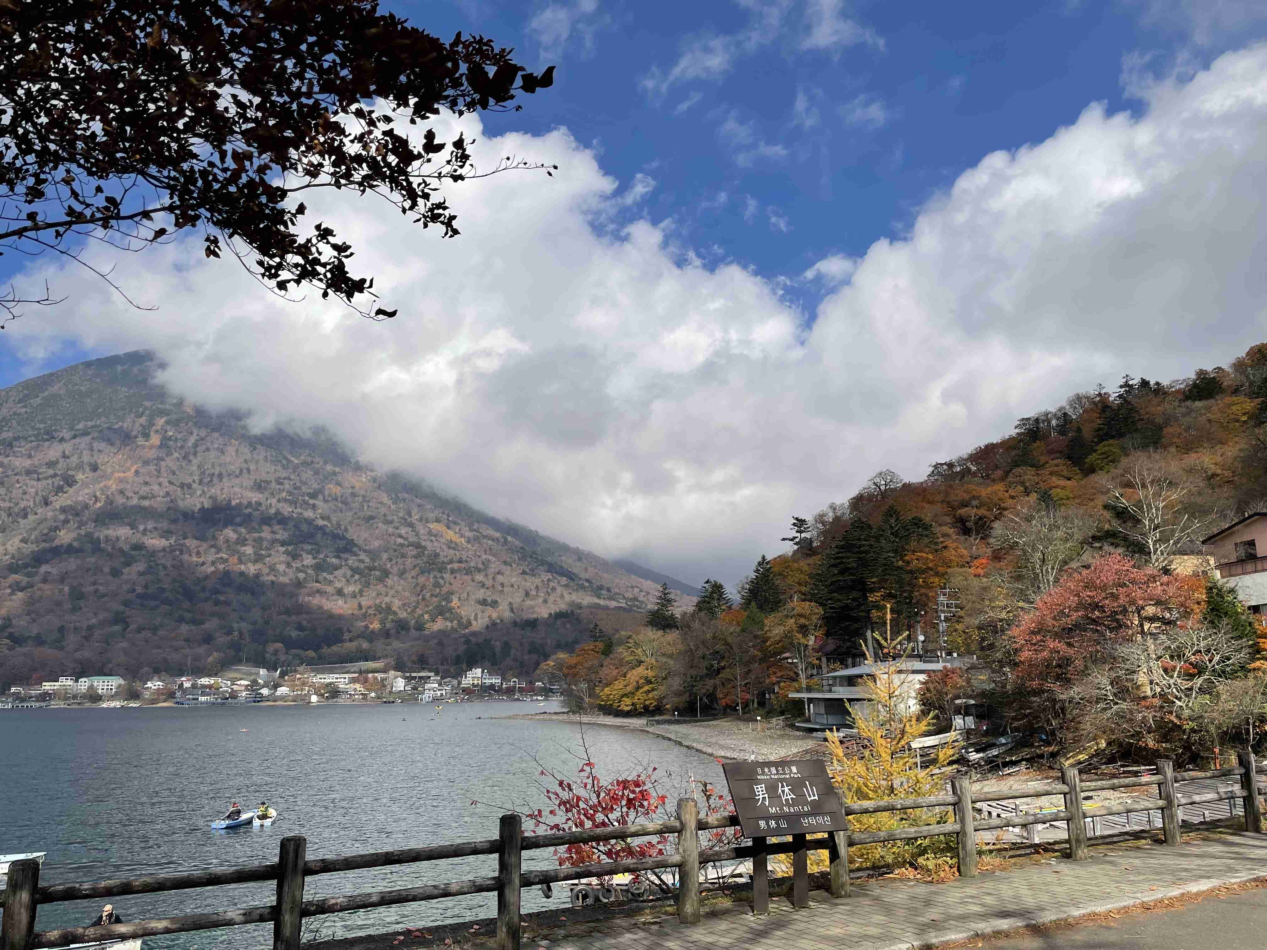 皆さんが撮った紅葉の写真が見たい