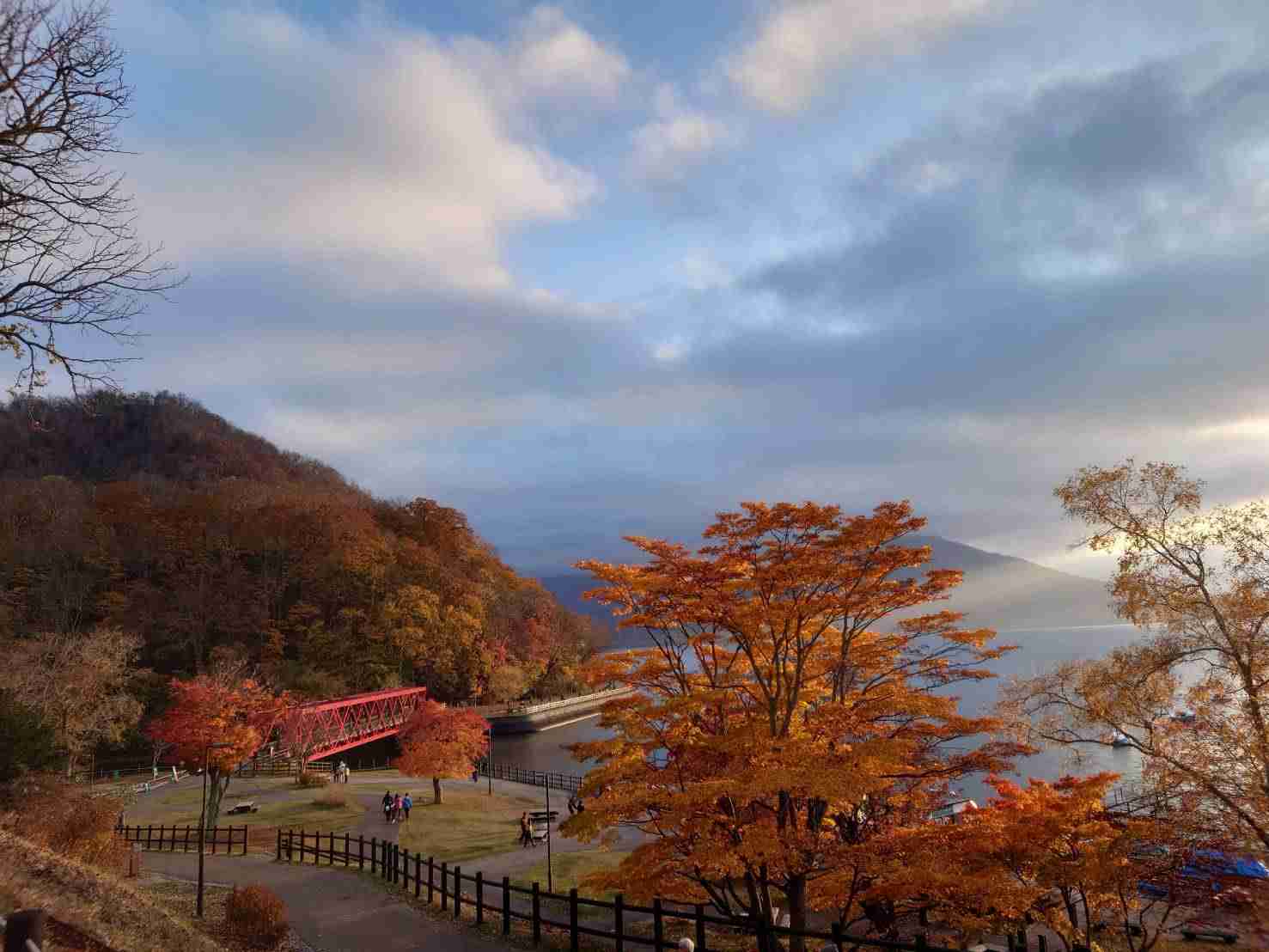 皆さんが撮った紅葉の写真が見たい