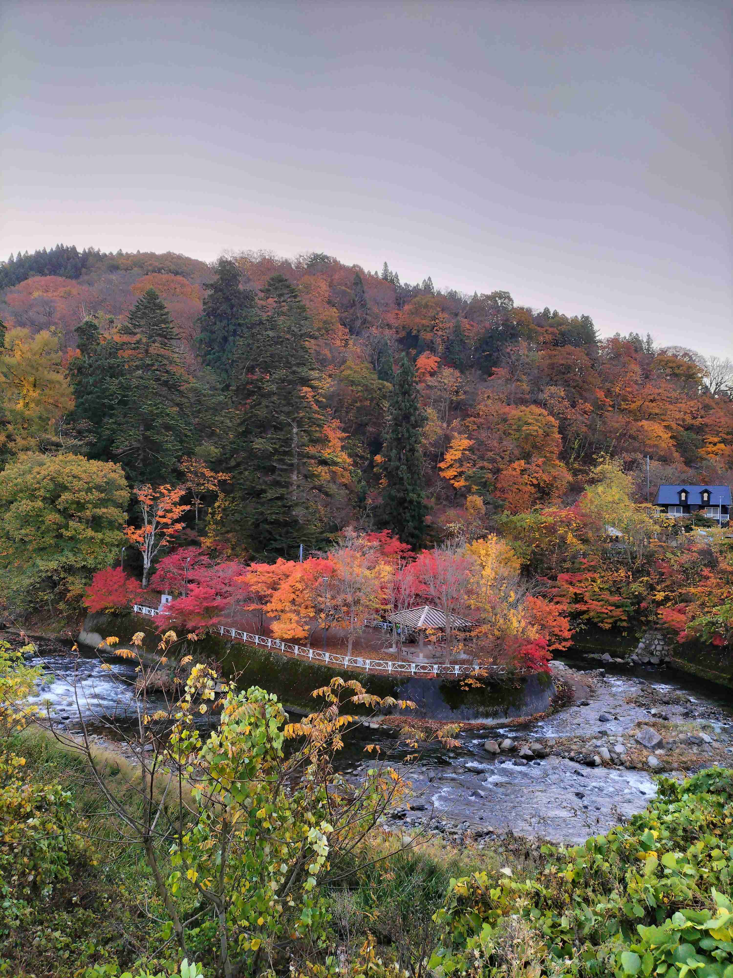 皆さんが撮った紅葉の写真が見たい