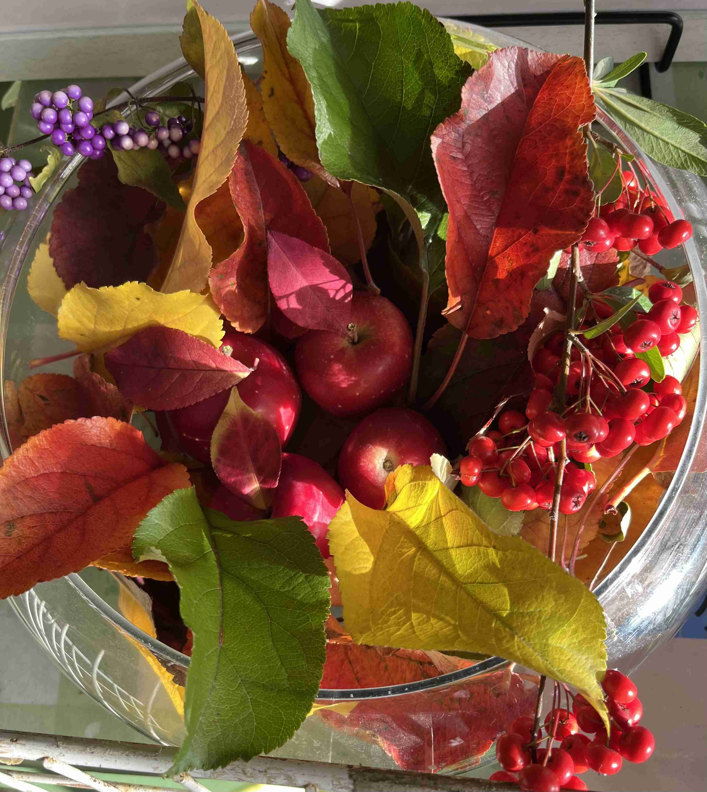 皆さんが撮った紅葉の写真が見たい