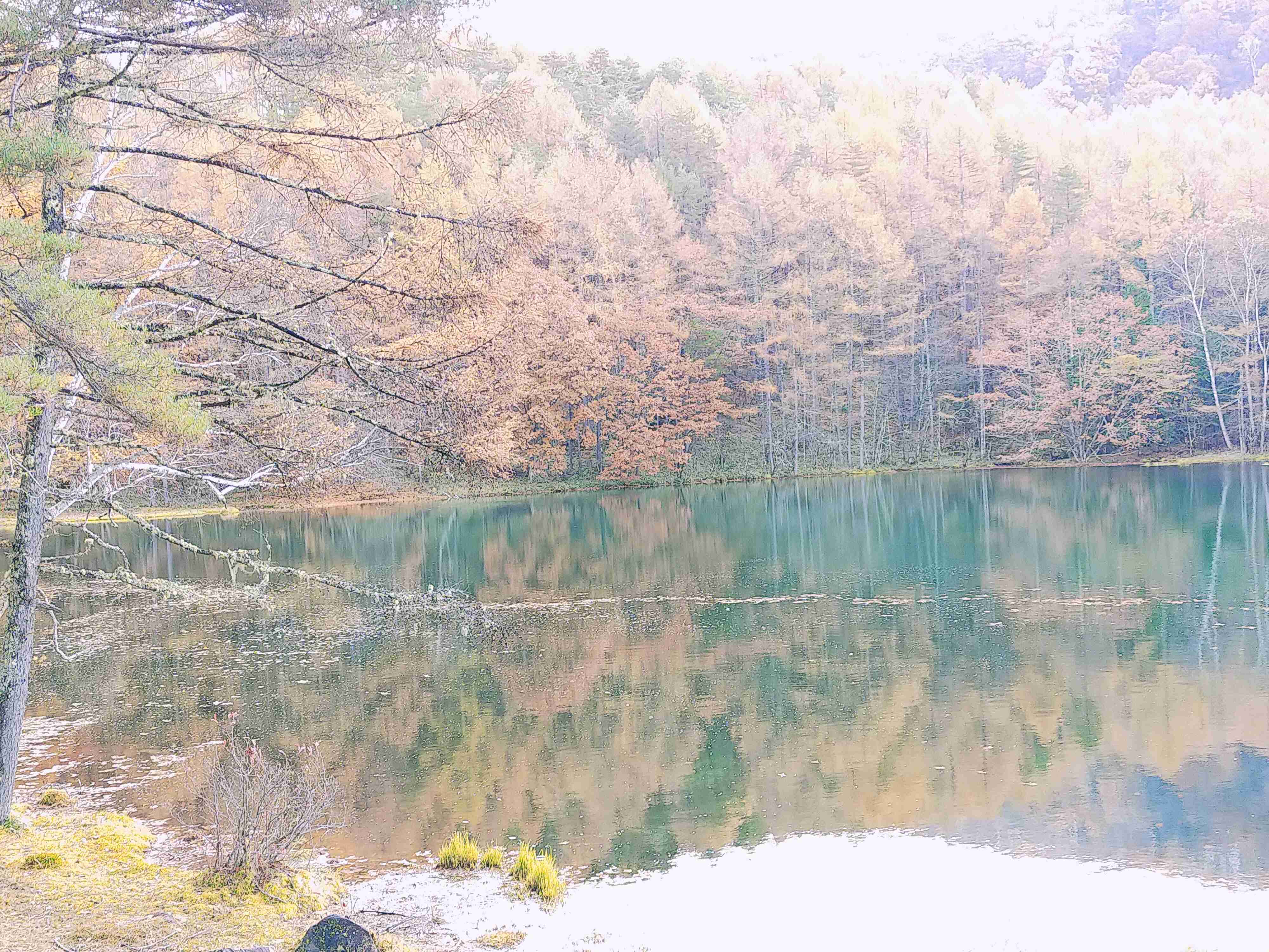 皆さんが撮った紅葉の写真が見たい