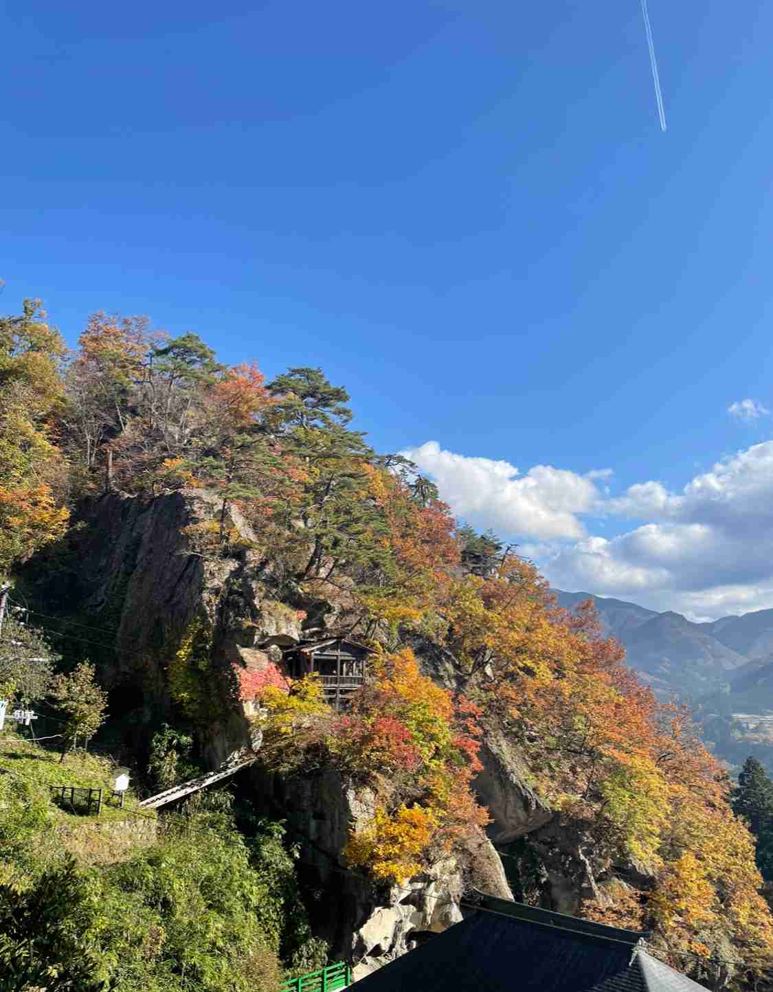 皆さんが撮った紅葉の写真が見たい