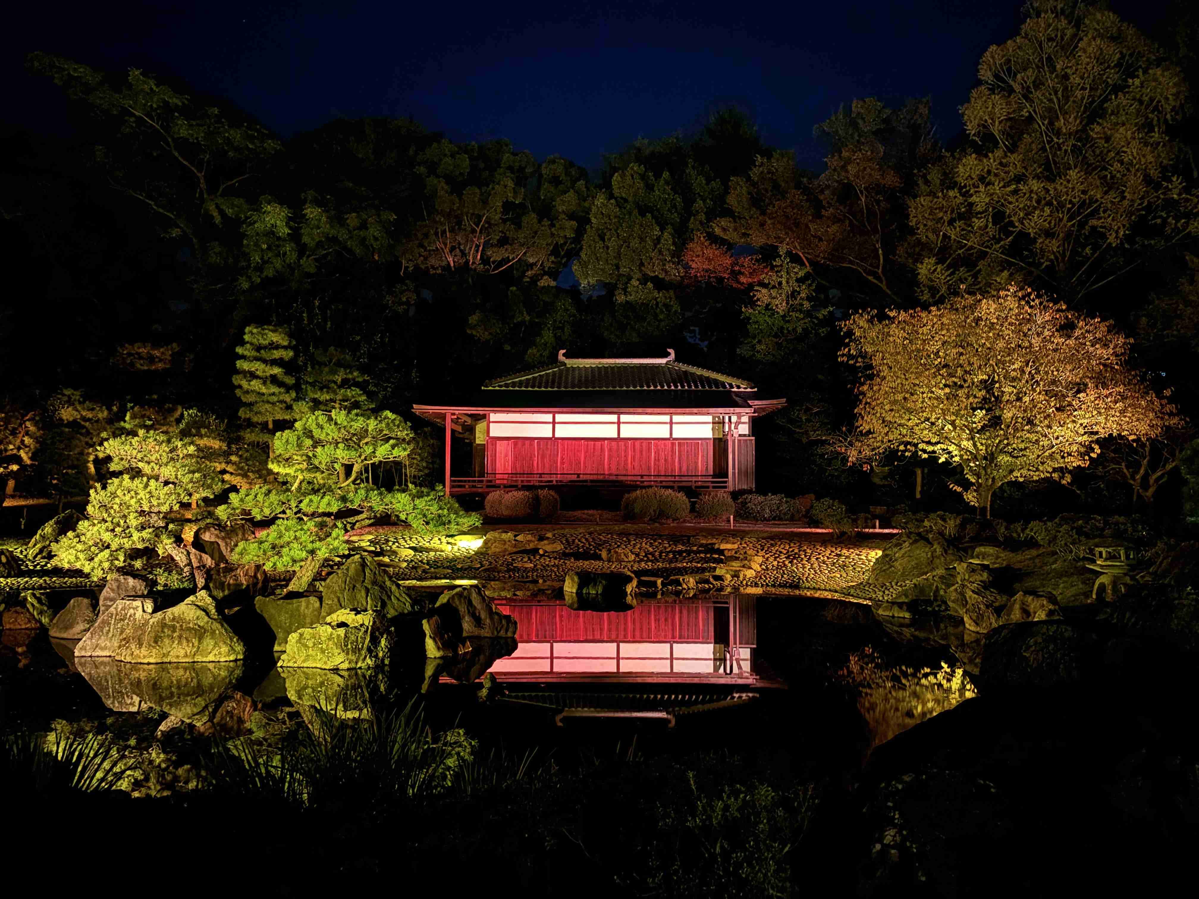 皆さんが撮った紅葉の写真が見たい