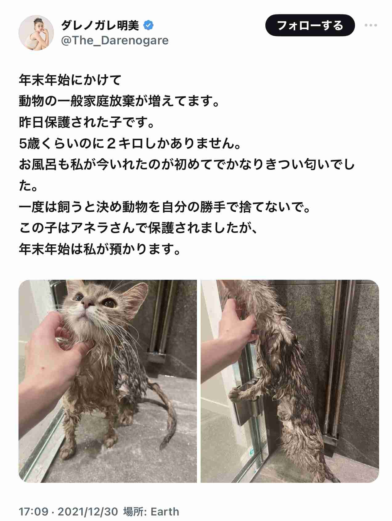 ダレノガレ明美、保護犬”スキンシップ”動画投稿が驚異の1000万超アクセス達成し称賛殺到