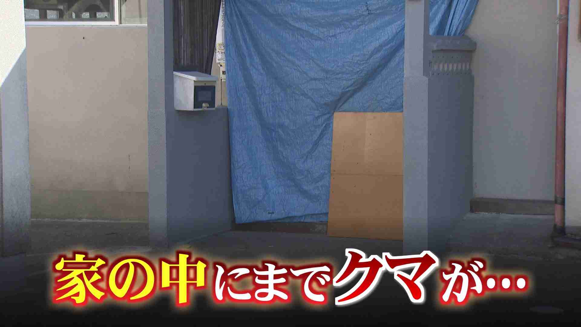 クマ捕獲で相次ぐバッシング　8道県知事、国に支援を緊急要望へ