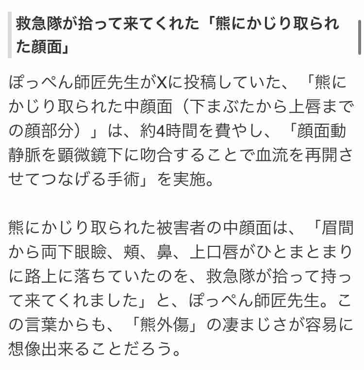 クマ捕獲で相次ぐバッシング　8道県知事、国に支援を緊急要望へ