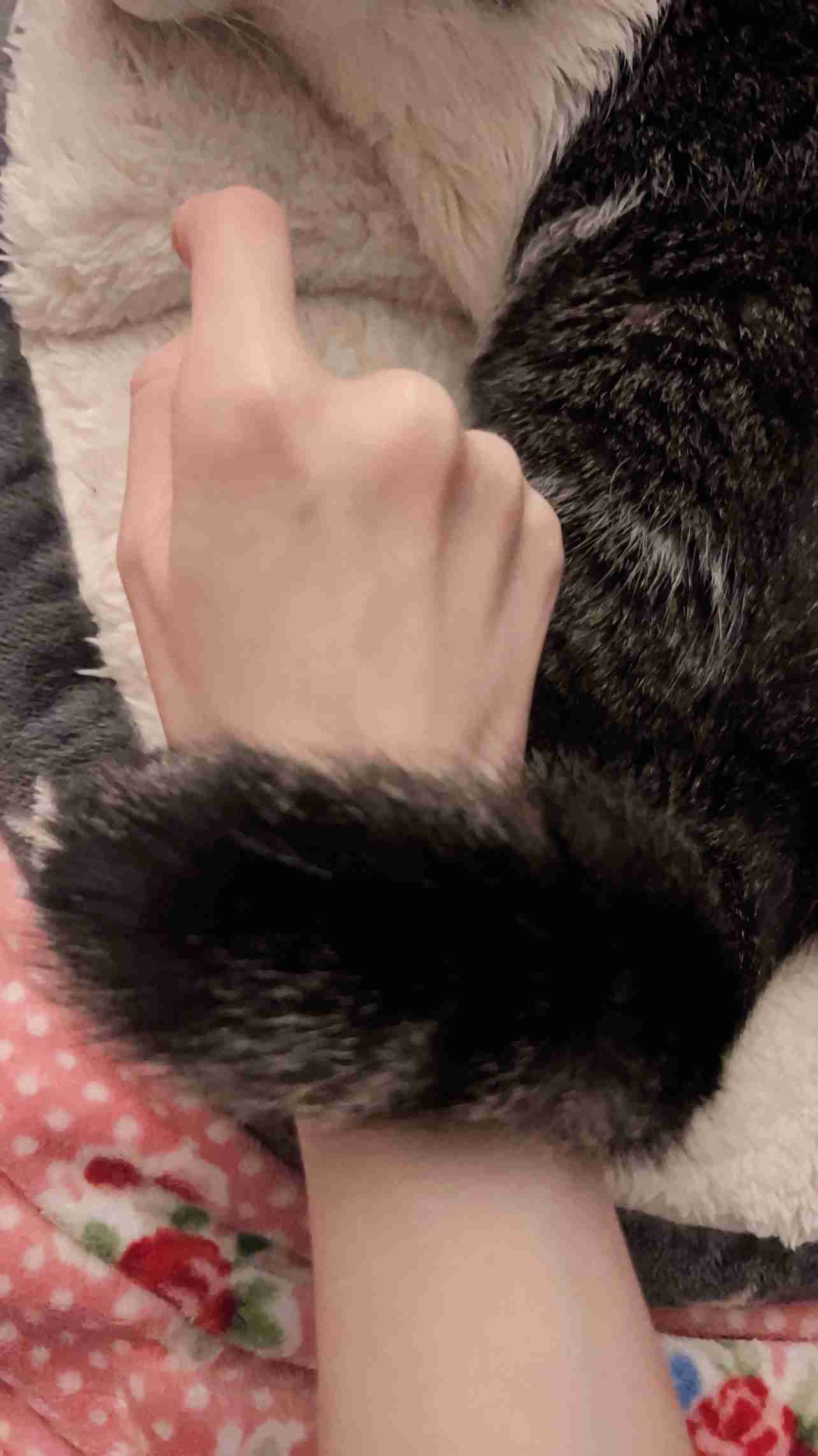 冬物、冬に使う物、最近何買いましたか？(オールジャンル)