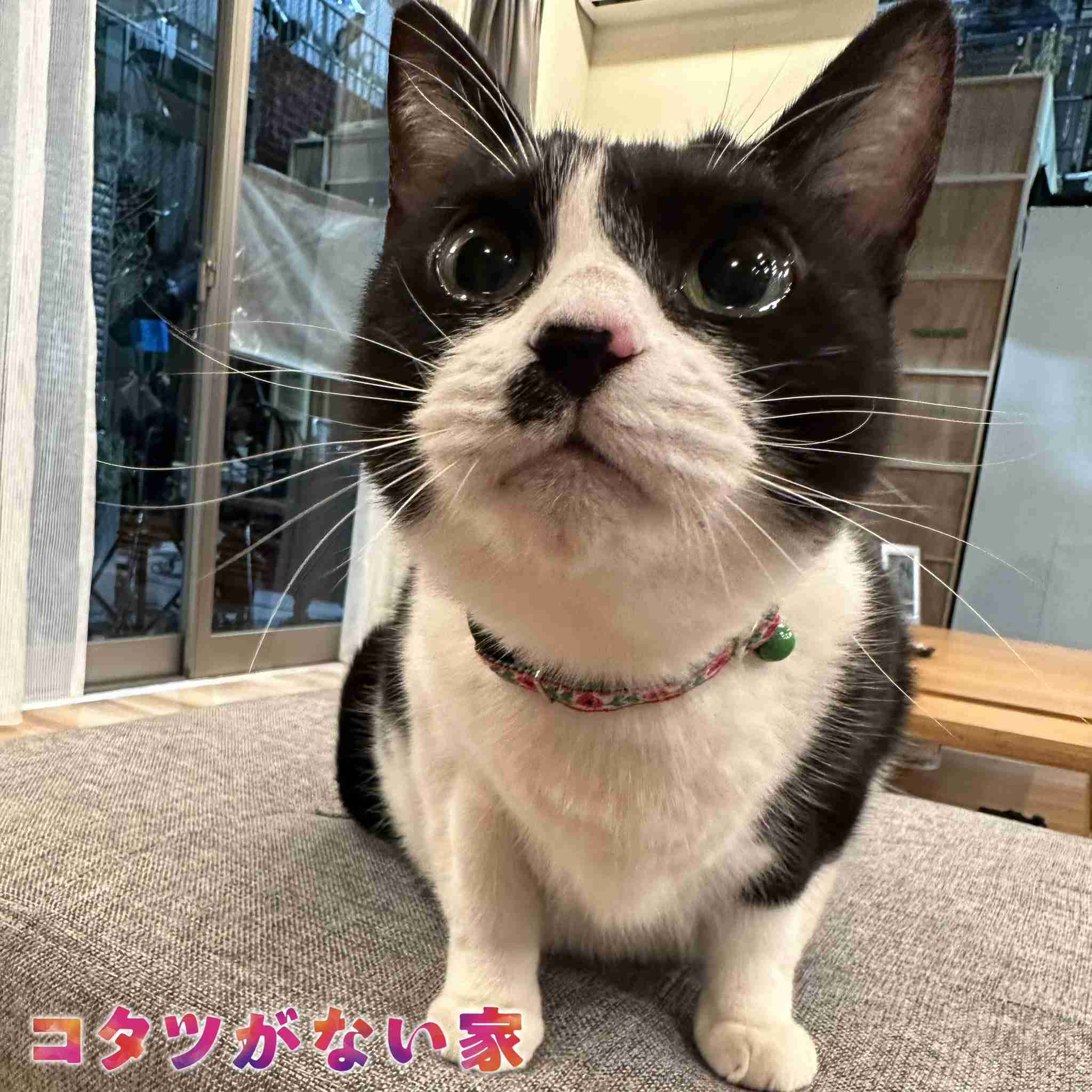 【実況・感想】水曜ドラマ コタツがない家 #03