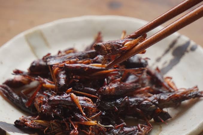 お弁当の隙間埋め🍱