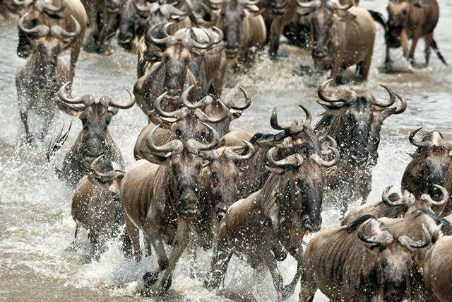 【二次元】鬼滅の刃で彼氏にしたいキャラPart14【妄想】