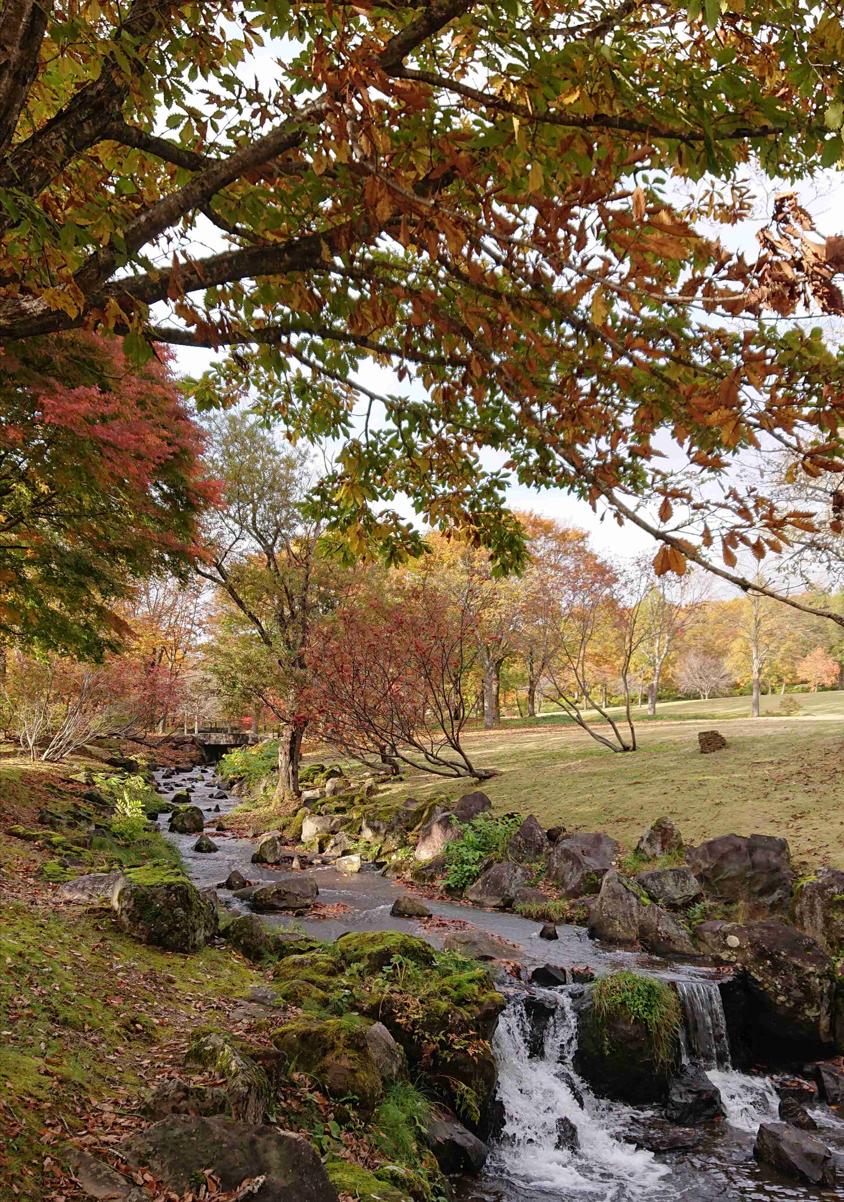 【二次元】鬼滅の刃で彼氏にしたいキャラPart14【妄想】