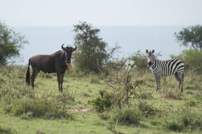 【二次元】鬼滅の刃で彼氏にしたいキャラPart14【妄想】