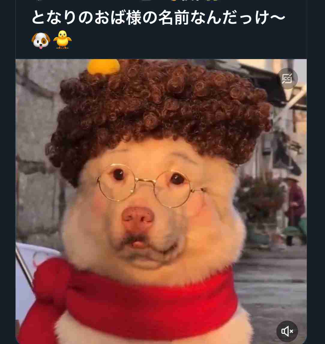 ふざけたくなったら書き込みできるトピ