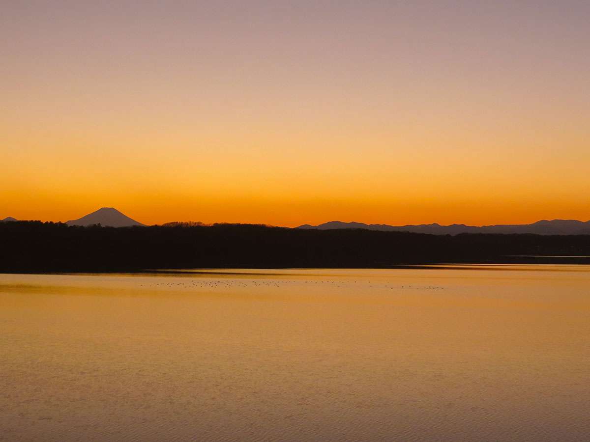 Ｉ❤️多摩地区